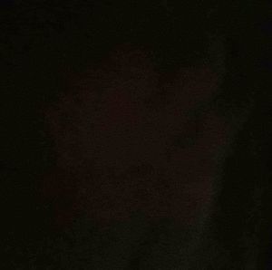 Meet your Posher, Catrina